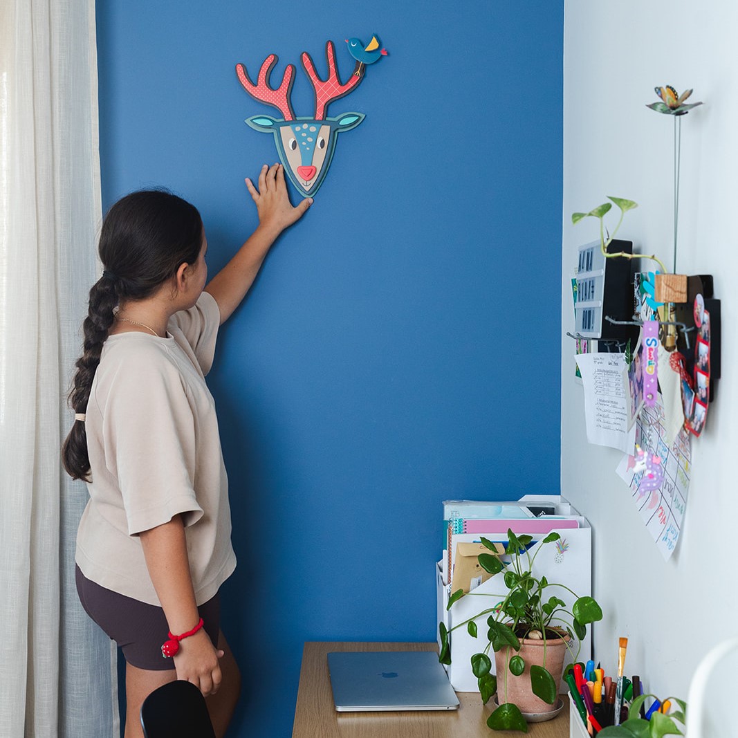 غزال الحائط – תמונה 4